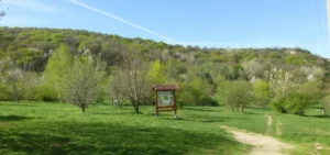 Dendropark pod Devínskou Kobylou