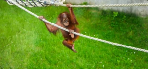 ZOO Bratislava
